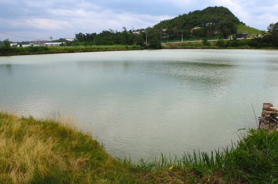 岐阜県の活断層調査