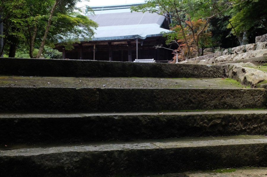 f:id:cippillo:20150726200033j:plain f:id:cippillo:20150726200033j:plain