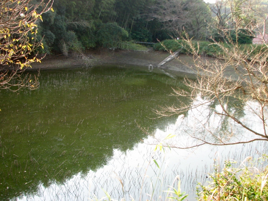 三ツ池(静岡県藤枝) 水辺遍路