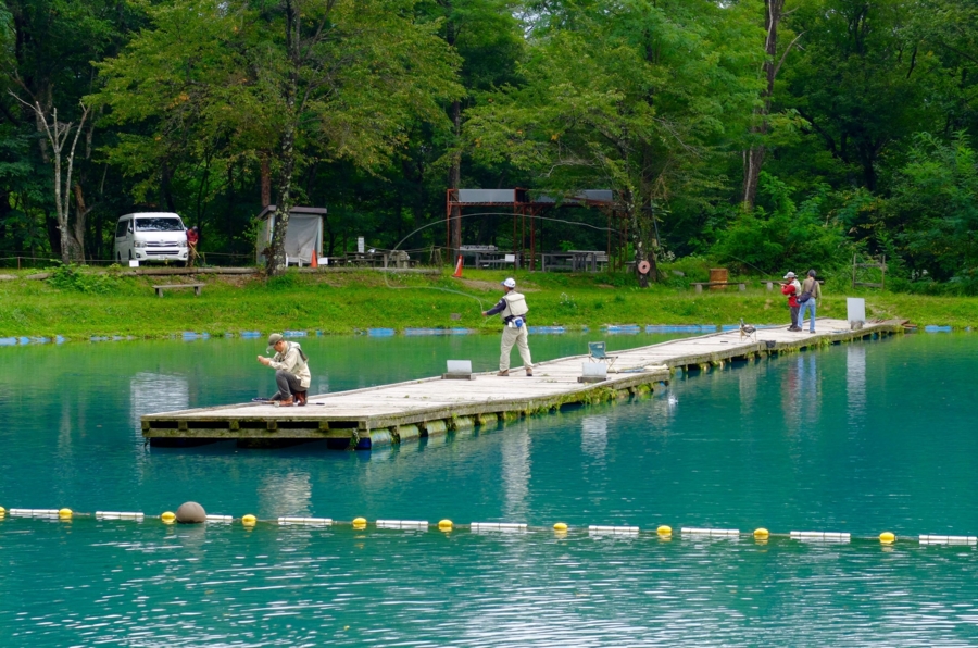 f:id:cippillo:20151022091653j:plain