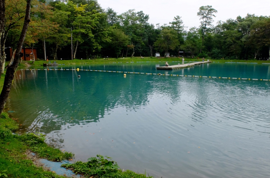 f:id:cippillo:20151022091658j:plain