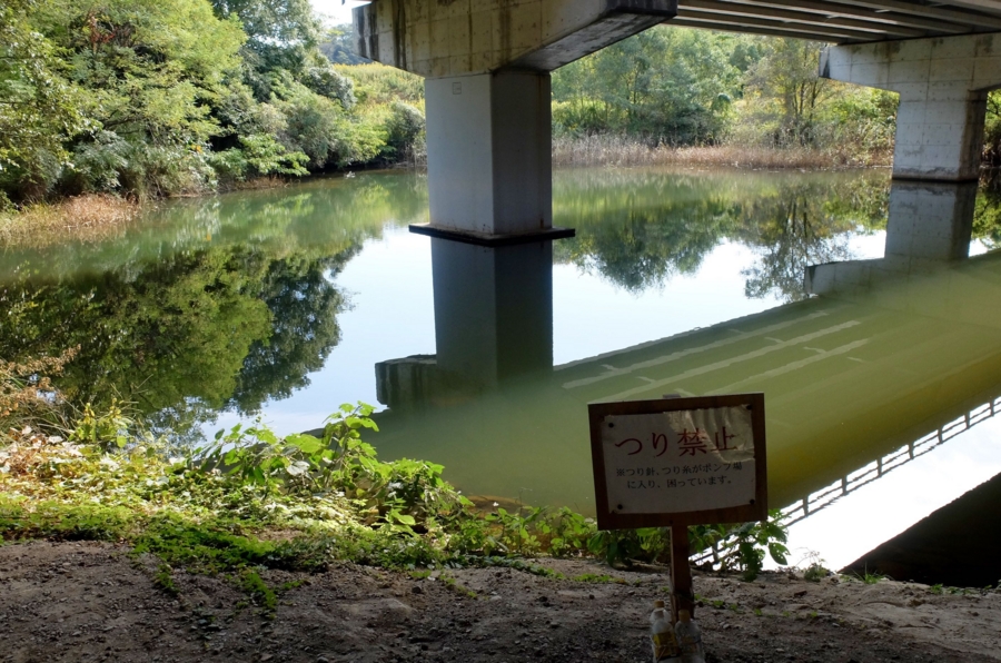 f:id:cippillo:20151027090706j:plain