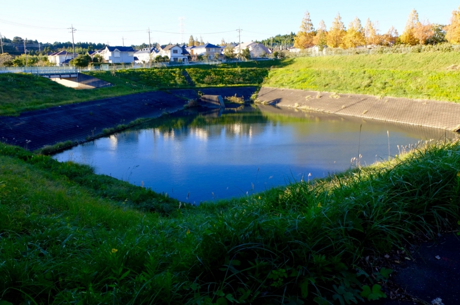 水道秋聖　「千野の池」 二号調整池（千葉県千葉） - 水辺遍路