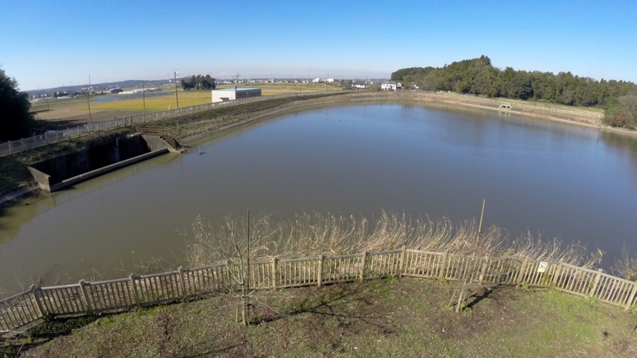 f:id:cippillo:20151206185649j:plain f:id:cippillo:20151206185649j:plain