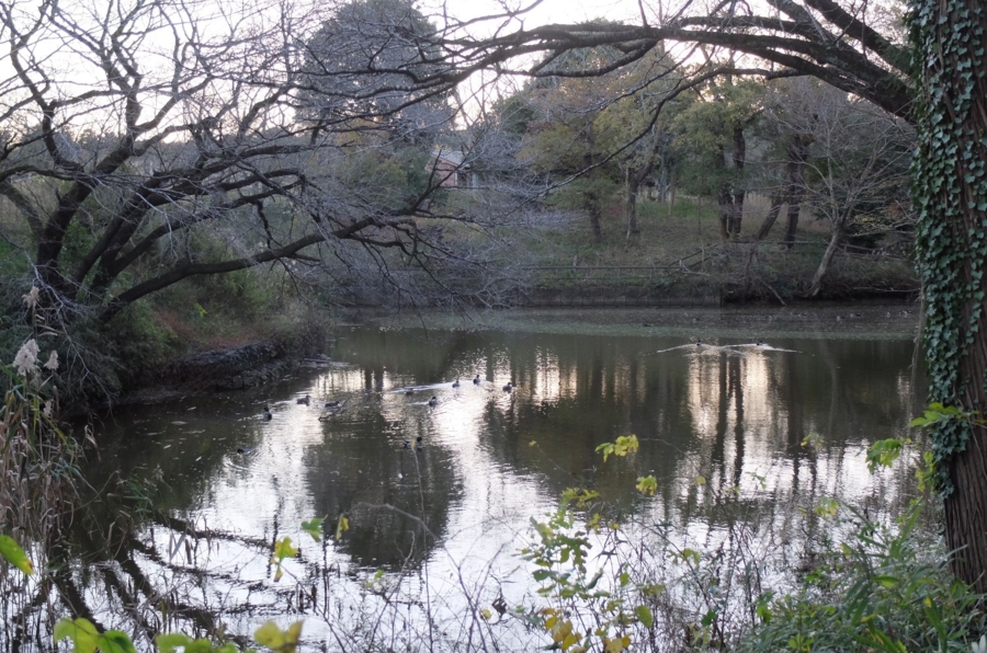 水道秋聖　「千野の池」 水道秋聖 「千野の池」