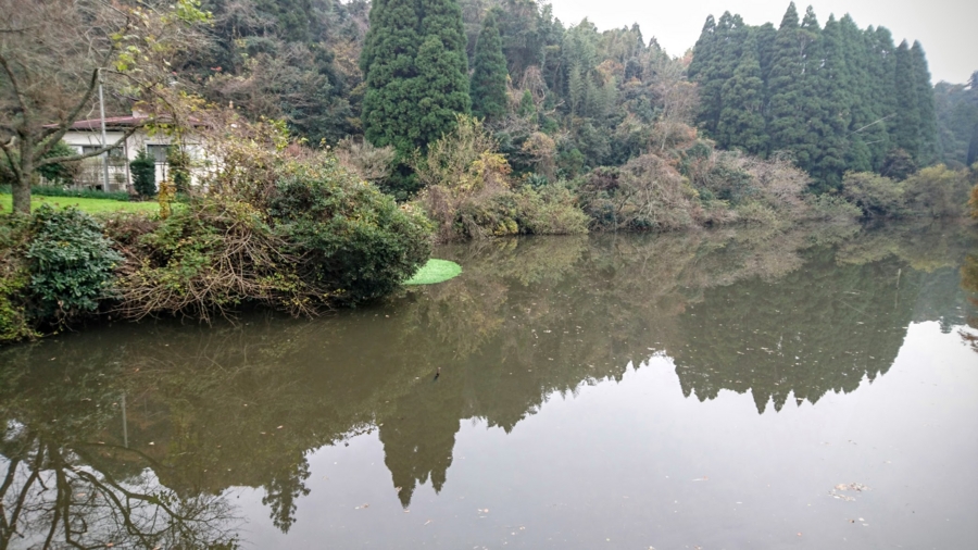 水道秋聖　「千野の池」 2025年 十勝千年の森 - 出発前に知っておくべきことすべて