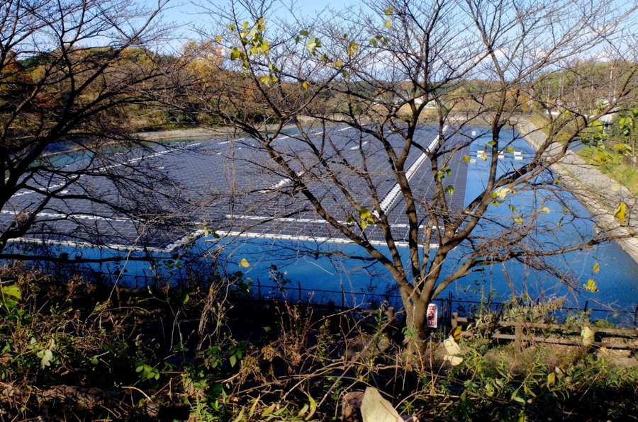 花見台工業団地の池(仮称)(埼玉県嵐山) 水辺遍路 花見台工業団地の池(仮称)(埼玉県嵐山) 水辺遍路