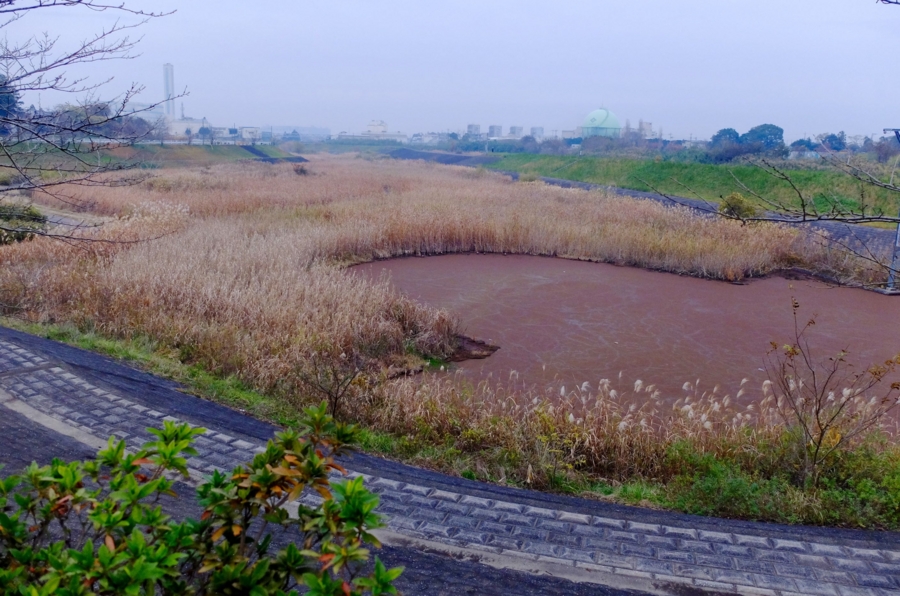 鶴枝遊水公園の調節池（千葉県茂原） - 水辺遍路