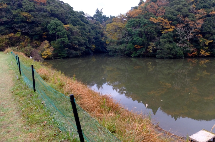 f:id:cippillo:20160220145823j:plain f:id:cippillo:20160220145823j:plain