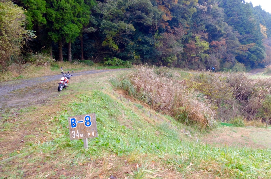 f:id:cippillo:20160220145824j:plain f:id:cippillo:20160220145824j:plain