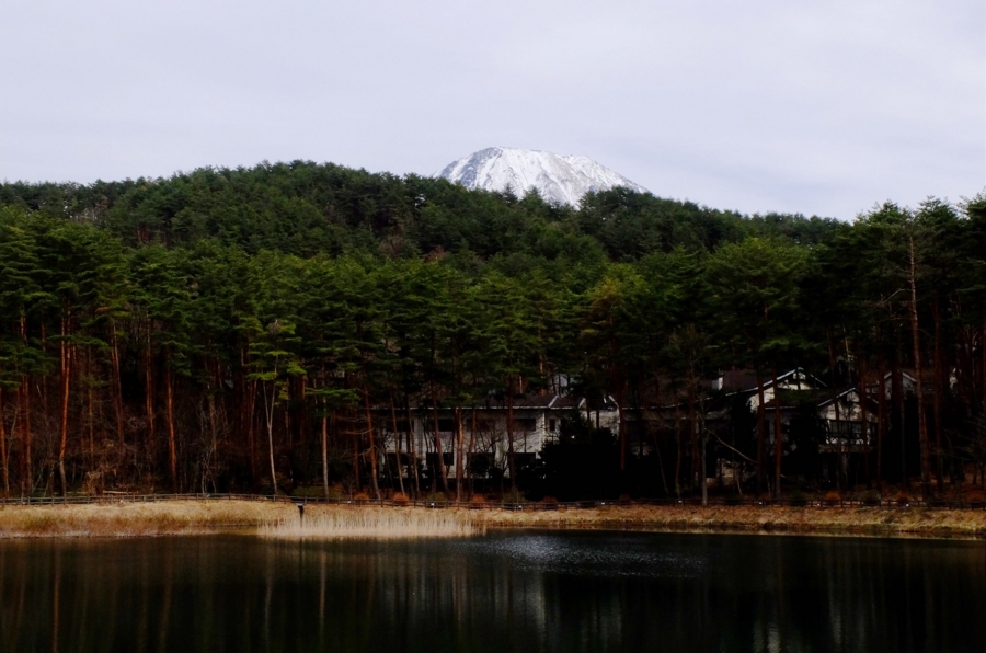 大成池(鳥取県伯耆) 水辺遍路