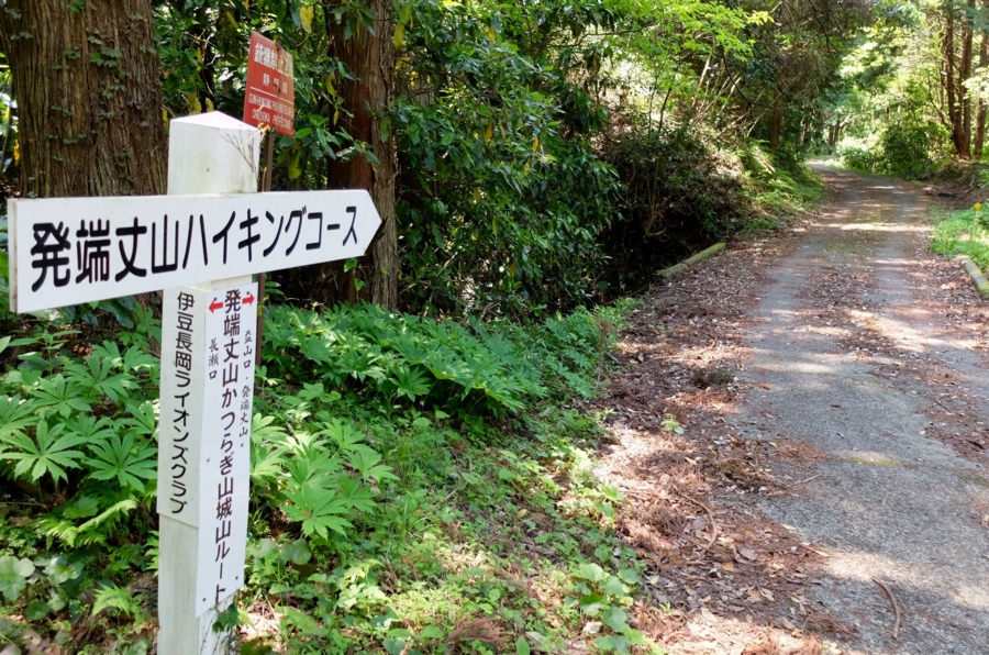 f:id:cippillo:20160430115614j:plain