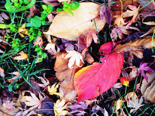 f:id:circax:20141208090437j:plain f:id:circax:20141208090437j:plain