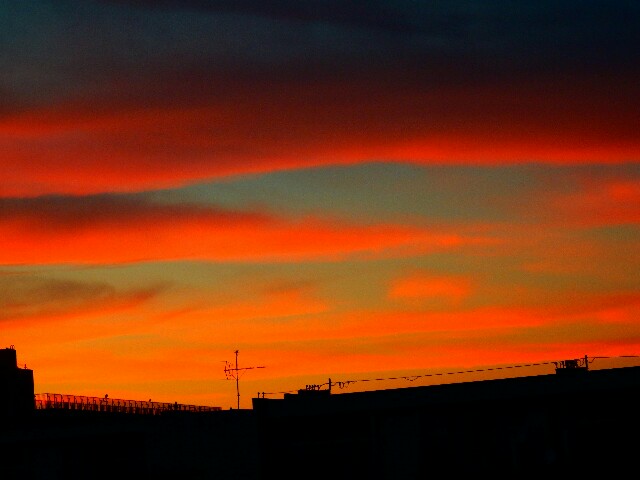f:id:circax:20160714173602j:image f:id:circax:20160714173602j:image