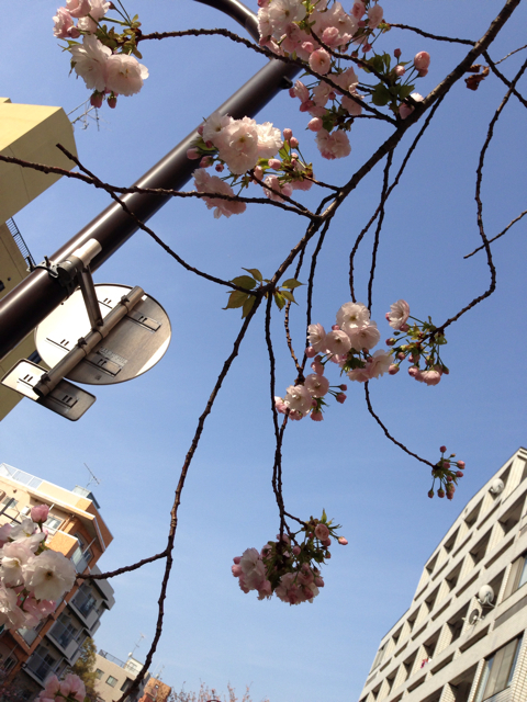 f:id:cleanfuture_big:20130401215541j:plain f:id:cleanfuture_big:20130401215541j:plain