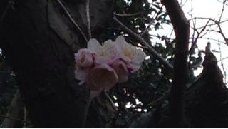 f:id:cleanfuture_big:20140316082013j:plain f:id:cleanfuture_big:20140316082013j:plain