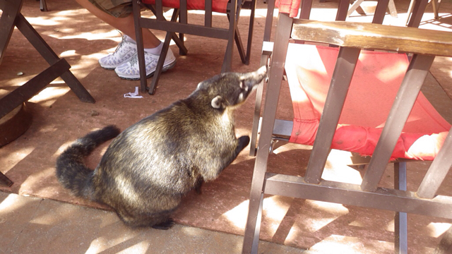 f:id:clokawa:20130428103339j:plain f:id:clokawa:20130428103339j:plain