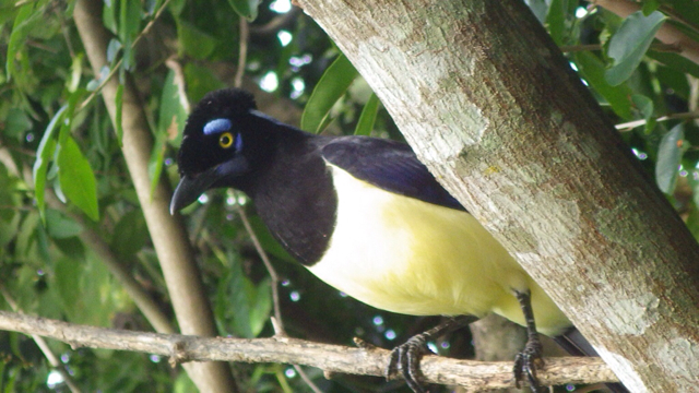 f:id:clokawa:20130428103343j:plain f:id:clokawa:20130428103343j:plain