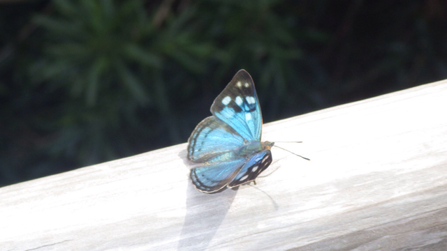f:id:clokawa:20130428103620j:plain f:id:clokawa:20130428103620j:plain