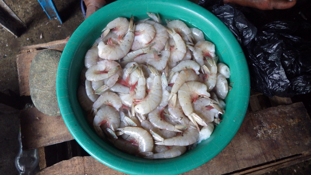 f:id:clokawa:20130919044338j:plain f:id:clokawa:20130919044338j:plain
