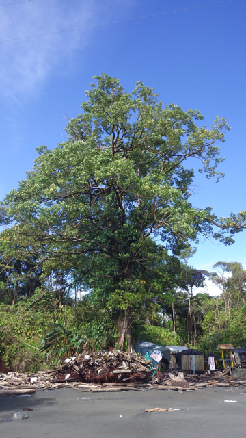 f:id:clokawa:20130919053107j:plain f:id:clokawa:20130919053107j:plain