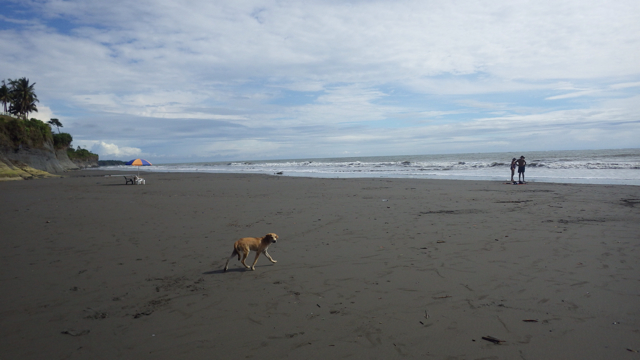 f:id:clokawa:20130919053201j:plain f:id:clokawa:20130919053201j:plain