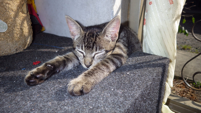 f:id:clokawa:20130919053450j:plain f:id:clokawa:20130919053450j:plain
