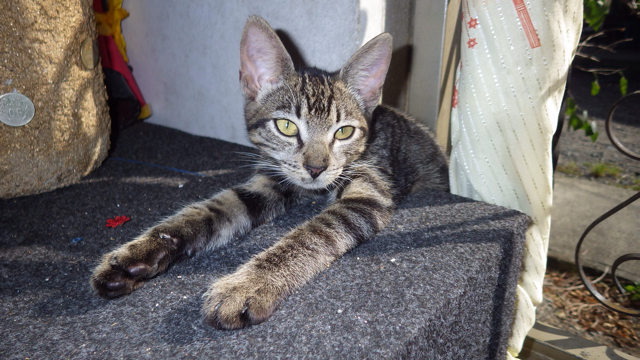 f:id:clokawa:20130919053533j:plain f:id:clokawa:20130919053533j:plain