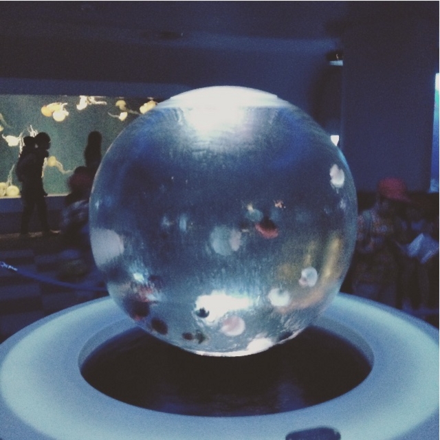 f:id:cocoanight0427:20150615012021j:image f:id:cocoanight0427:20150615012021j:image