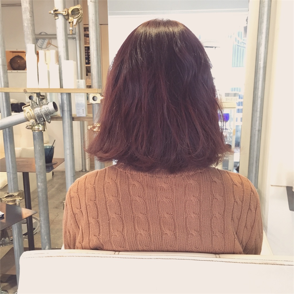 f:id:cocoanight0427:20160221202559j:image f:id:cocoanight0427:20160221202559j:image