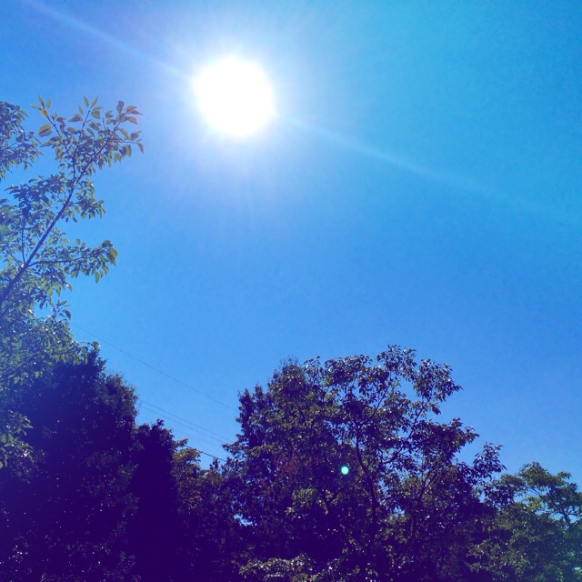 f:id:cocoapoco:20140909112640j:plain f:id:cocoapoco:20140909112640j:plain