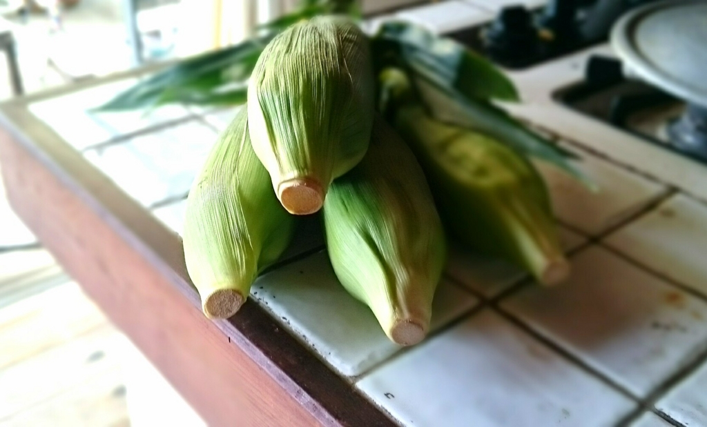 f:id:coconoo:20160611153111j:plain