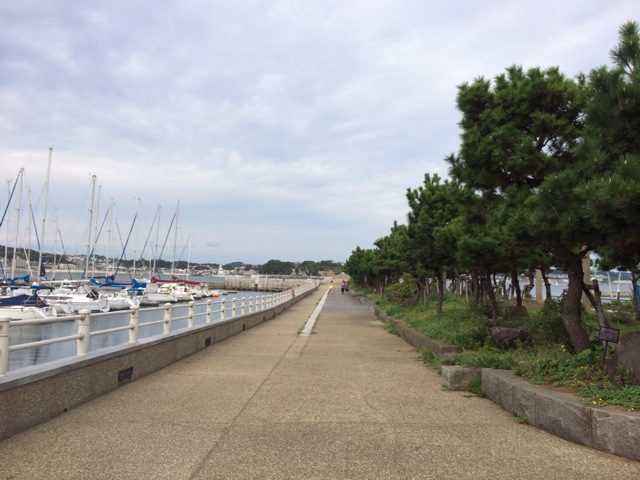 江ノ島サザエ島