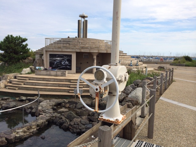 江ノ島サザエ島