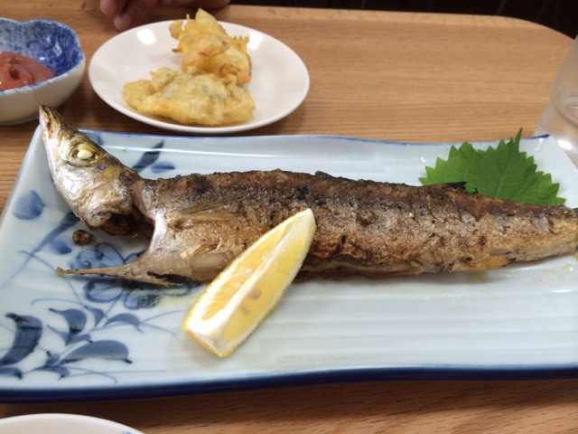 地魚料理「食堂のいのうえ」