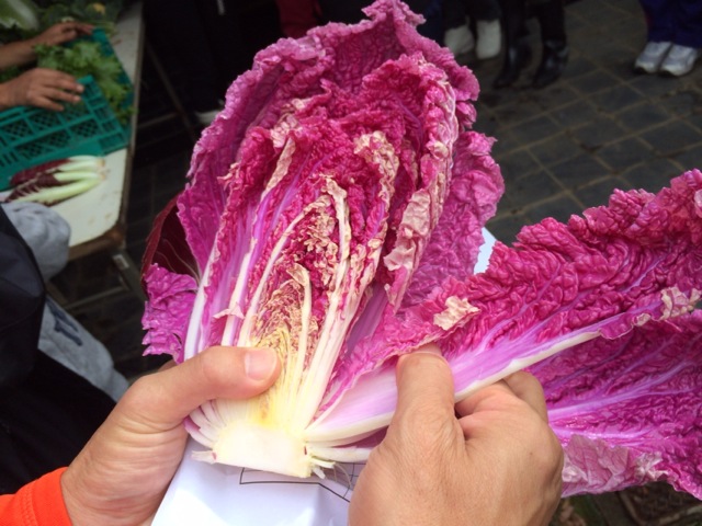 茅ヶ崎伊右衛門農園