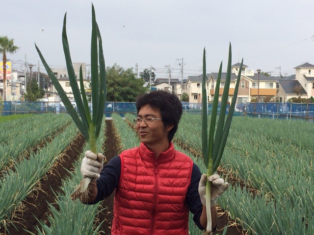 茅ヶ崎伊右衛門農園