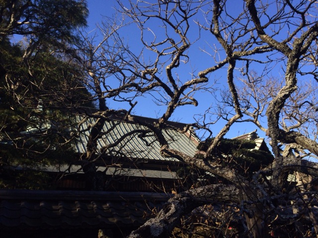 北鎌倉　東慶寺