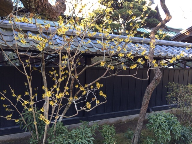 北鎌倉 東慶寺