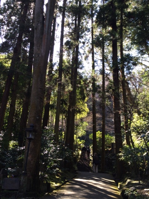 北鎌倉 東慶寺