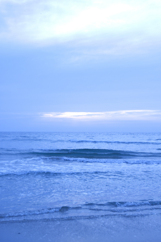 f:id:codomolab:20120607080322j:plain