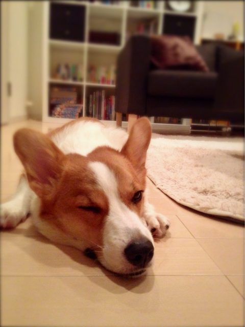 f:id:colopon:20131017185129j:plain