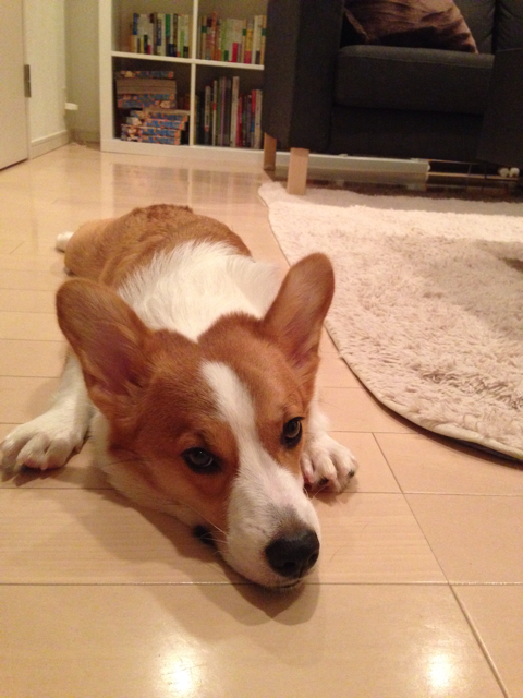 f:id:colopon:20131017185256j:plain