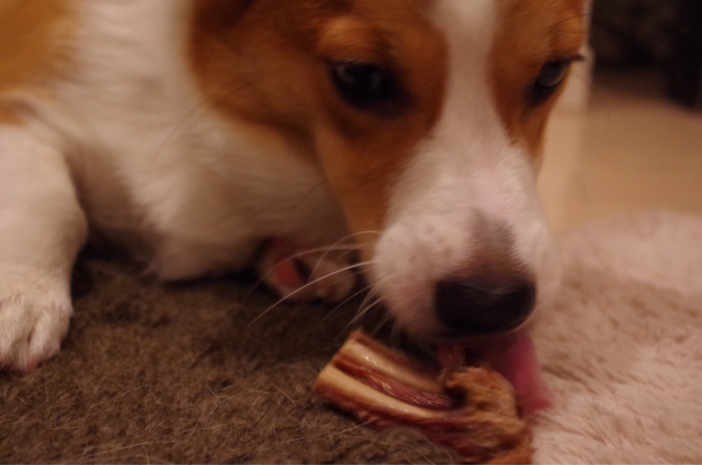 f:id:colopon:20131021085909j:plain