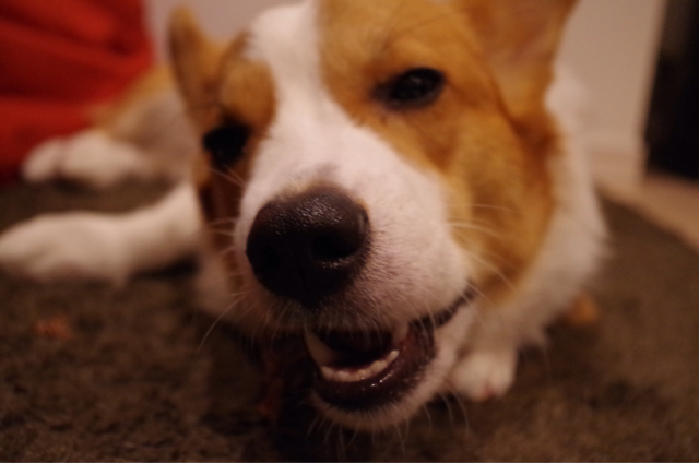 f:id:colopon:20131021085953j:plain