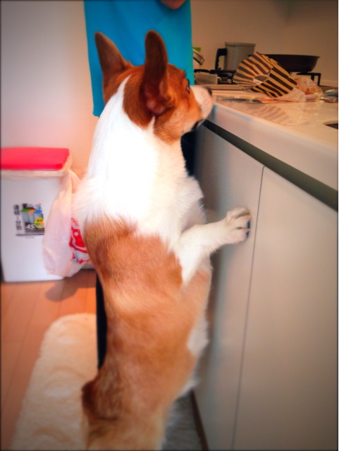 f:id:colopon:20131209182635j:plain