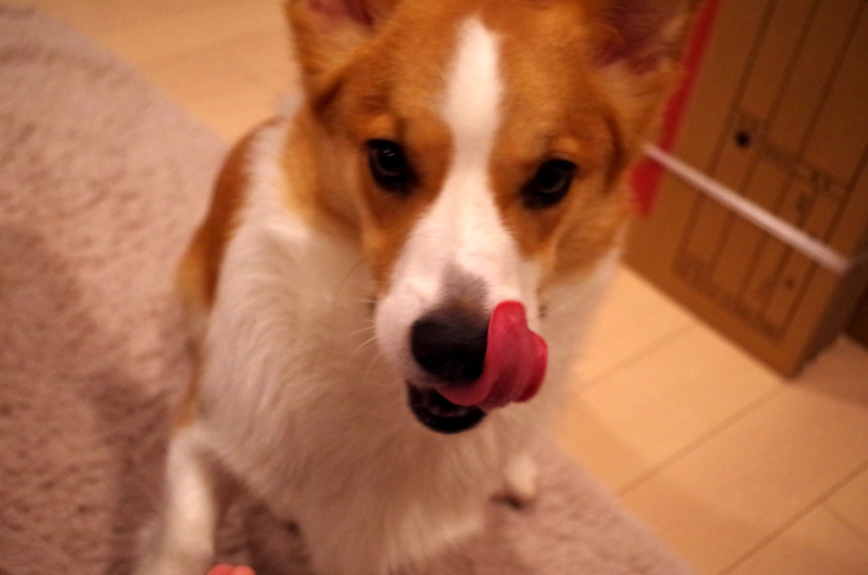 f:id:colopon:20140515203351j:plain