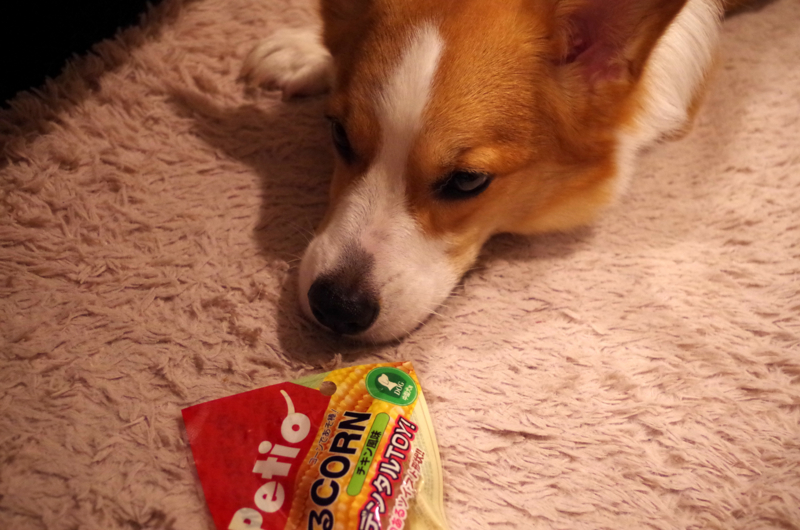 f:id:colopon:20140515203451j:plain