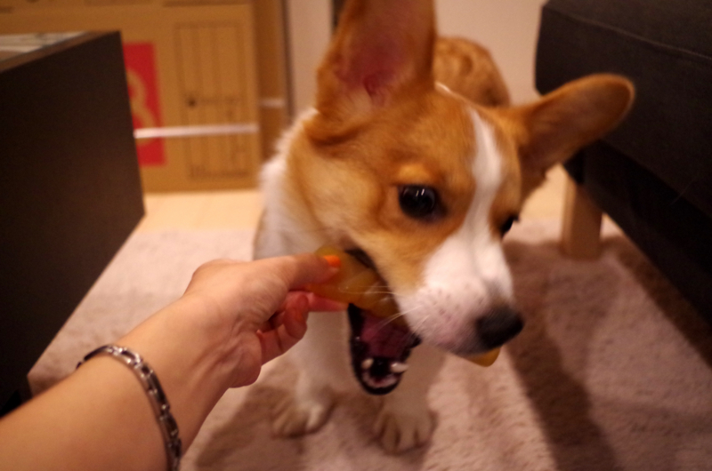 f:id:colopon:20140515203643j:plain