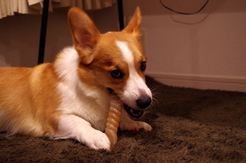 f:id:colopon:20140515203739j:plain